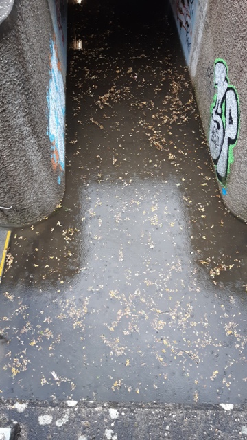 20210815_185301 groß.jpg